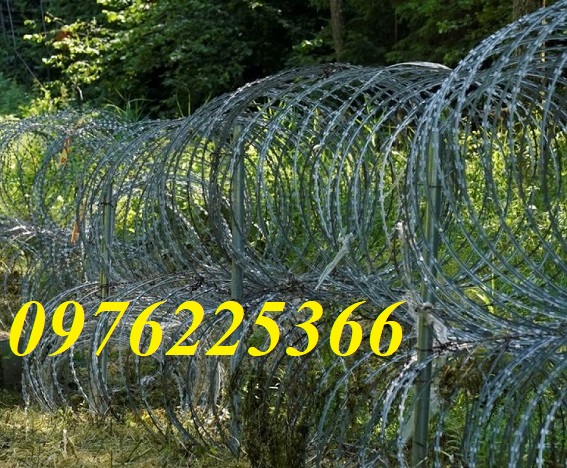 Đại lý dây thép gai hình dao,dây kẽm gai lưới dao tại Hà Nội